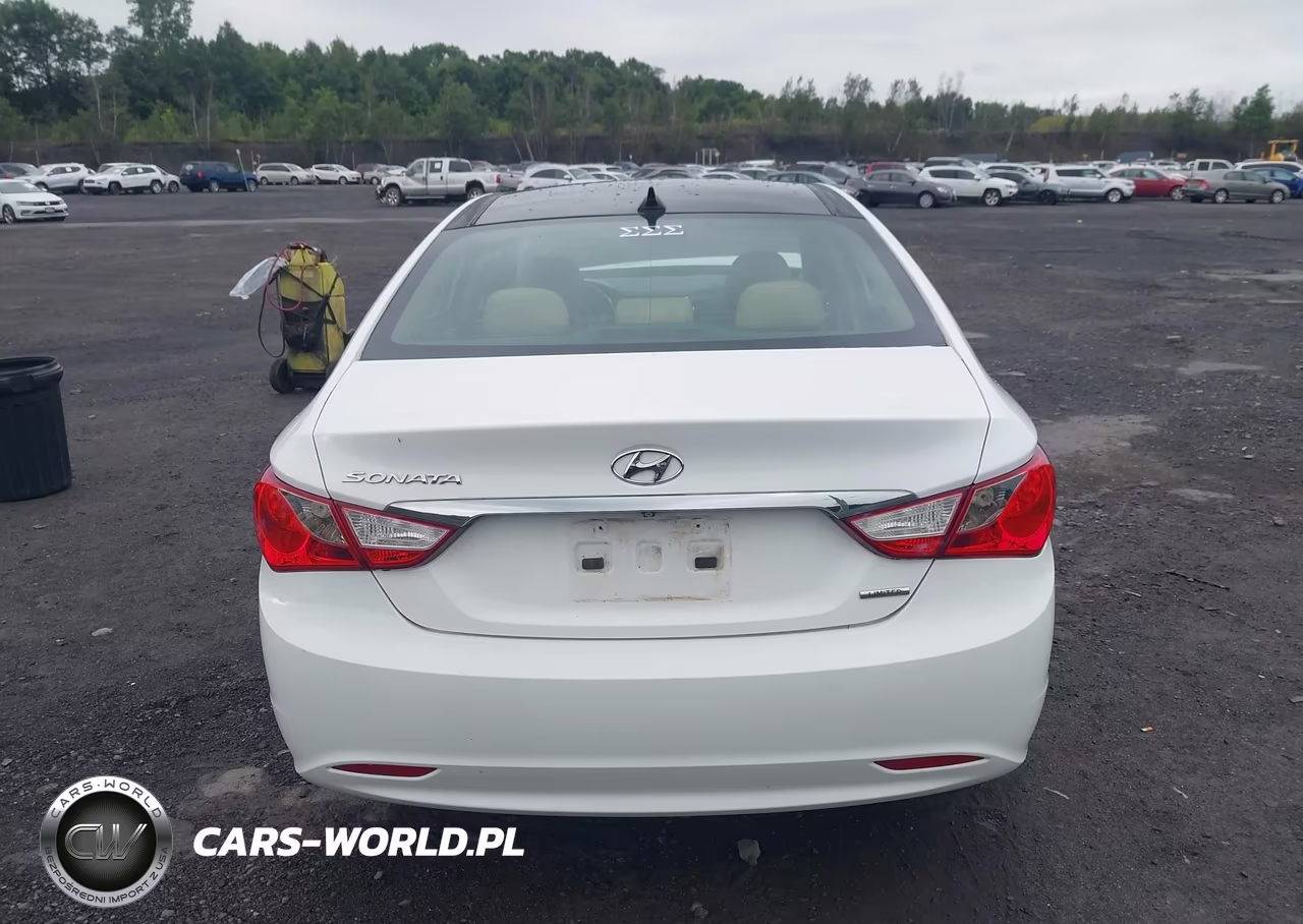 2013 Hyundai Sonata Limited VIN:5NPEC4AC6DH780463 - 16