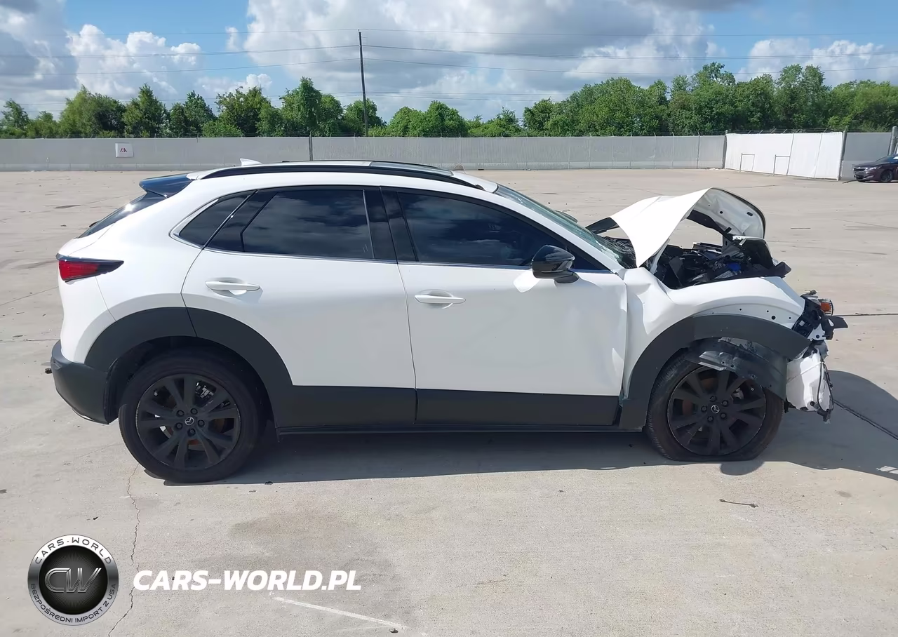2025 Mazda Cx-30 2.5 Turbo Premium Package VIN:3MVDMBDY4SM799460 - 13
