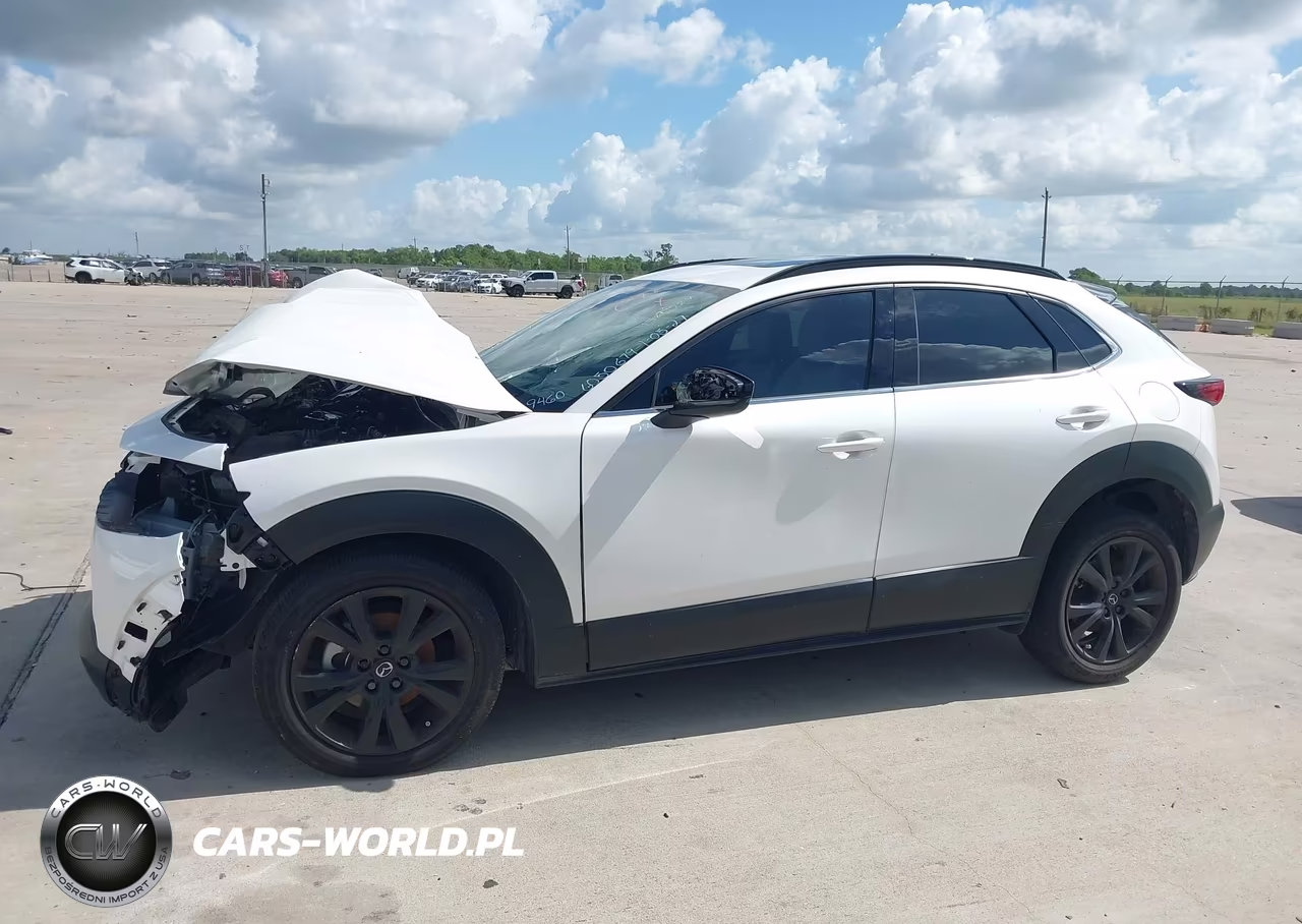 2025 Mazda Cx-30 2.5 Turbo Premium Package VIN:3MVDMBDY4SM799460 - 14