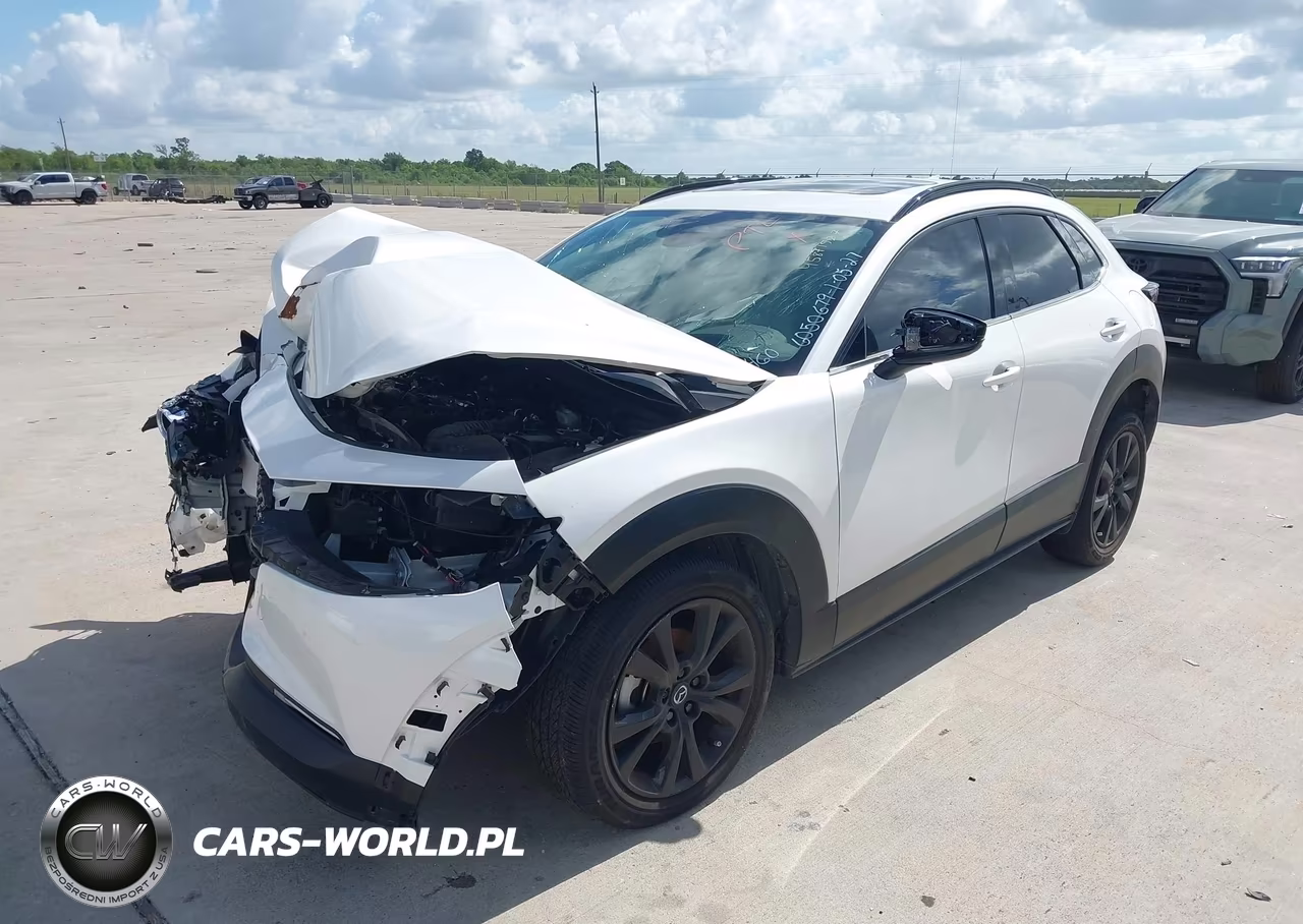 2025 Mazda Cx-30 2.5 Turbo Premium Package VIN:3MVDMBDY4SM799460 - 2