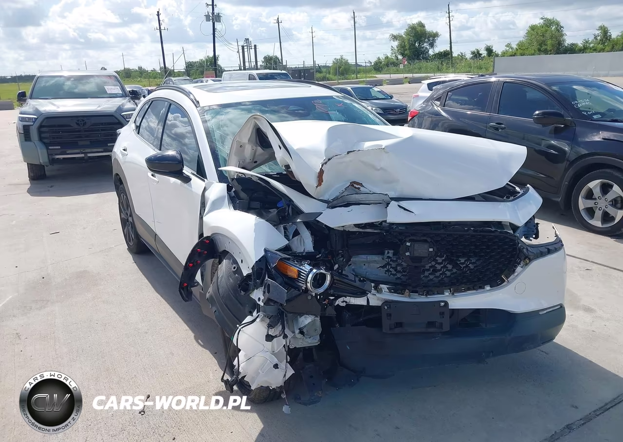 2025 Mazda Cx-30 2.5 Turbo Premium Package VIN:3MVDMBDY4SM799460 - 6