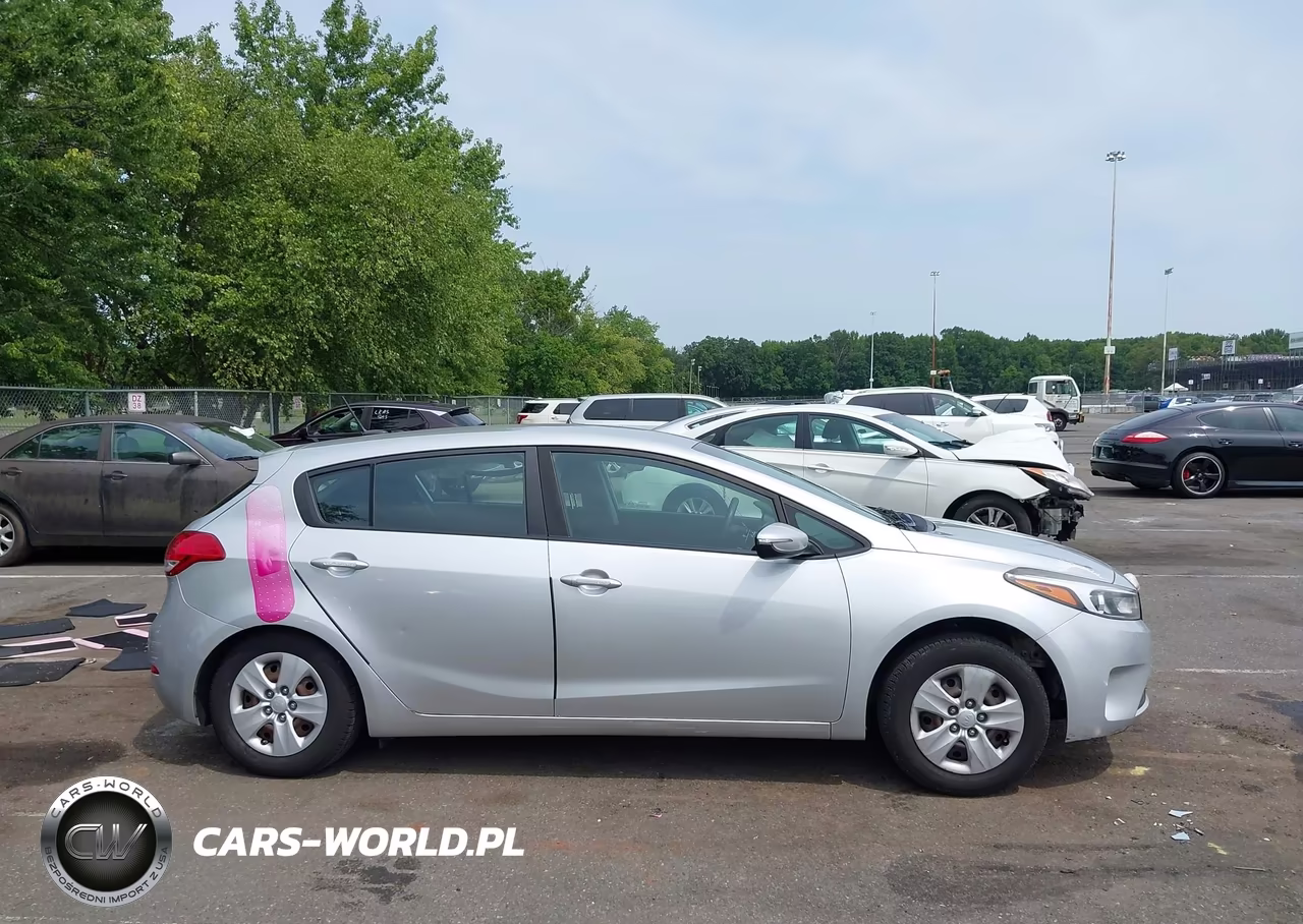 2018 Kia Forte Lx VIN:KNAFK5A82J5773415 - 13
