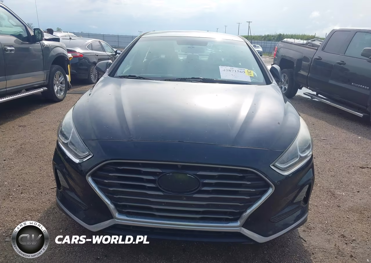 2019 Hyundai Sonata Se VIN:5NPE24AF3KH733739 - 13