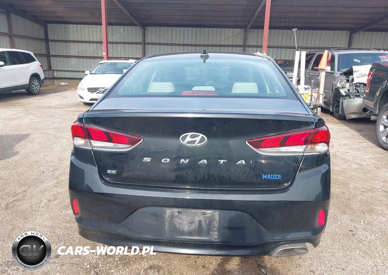 2019 Hyundai Sonata Se VIN:5NPE24AF3KH733739 - 17