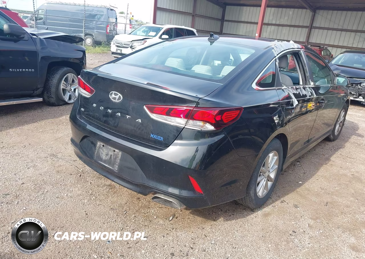 2019 Hyundai Sonata Se VIN:5NPE24AF3KH733739 - 4
