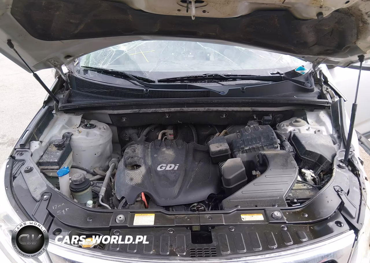 2013 Kia Sorento Lx VIN:5XYKTCA60DG341273 - 10