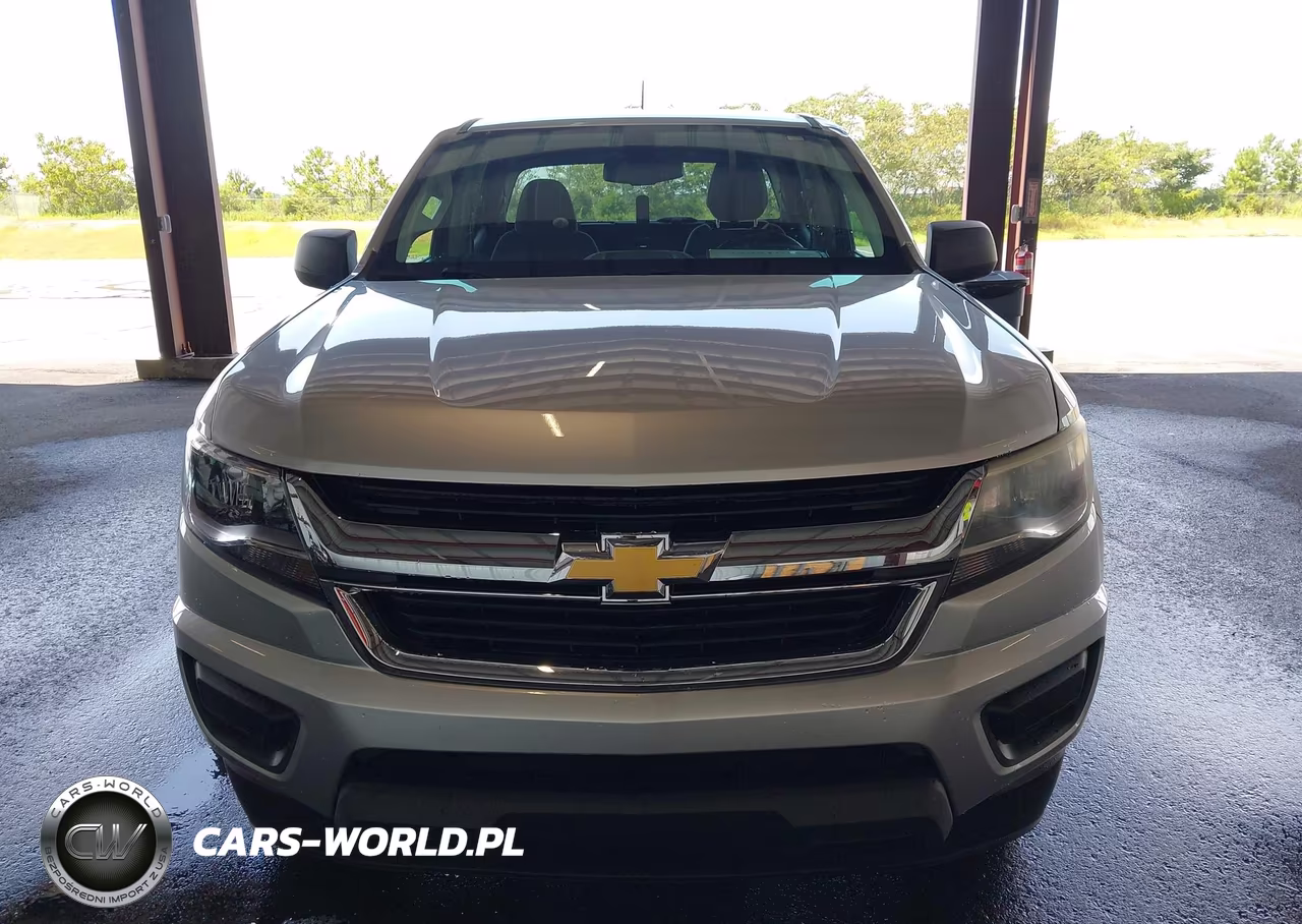 2019 Chevrolet Colorado Wt VIN:1GCGSBEA2K1102001 - 17