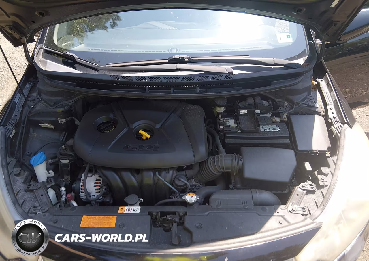 2014 Kia Forte Ex VIN:KNAFZ4A83E5128302 - 10