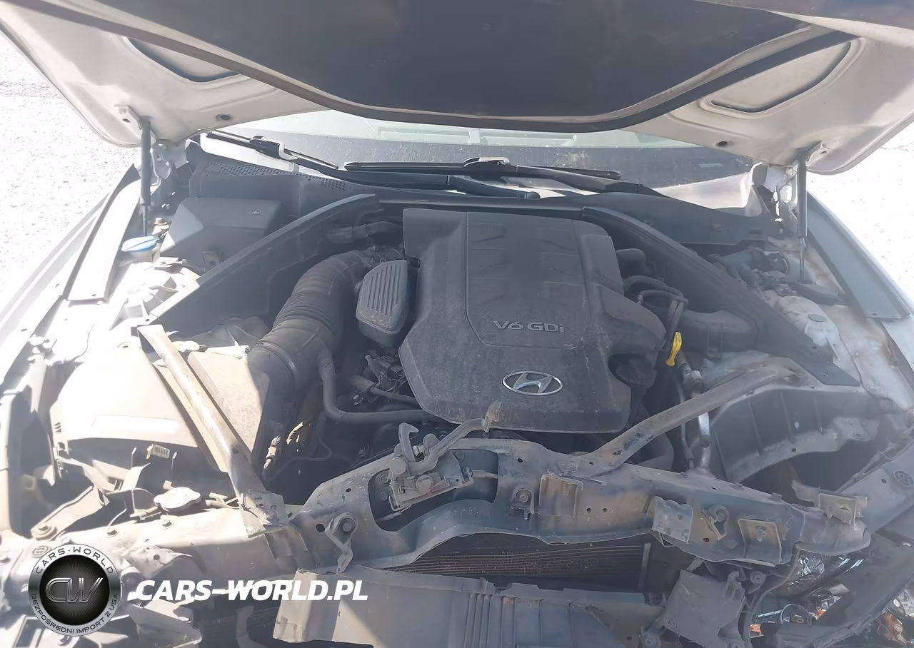 2016 Hyundai Genesis 3.8 VIN:KMHGN4JE1GU121698 - 10