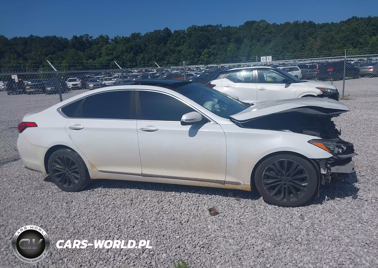 2016 Hyundai Genesis 3.8 VIN:KMHGN4JE1GU121698 - 13