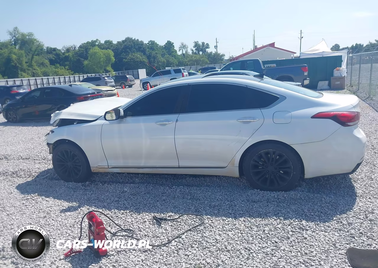 2016 Hyundai Genesis 3.8 VIN:KMHGN4JE1GU121698 - 14