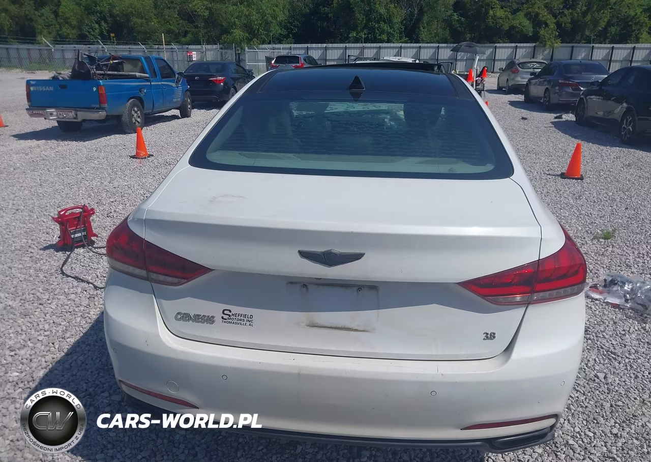 2016 Hyundai Genesis 3.8 VIN:KMHGN4JE1GU121698 - 16