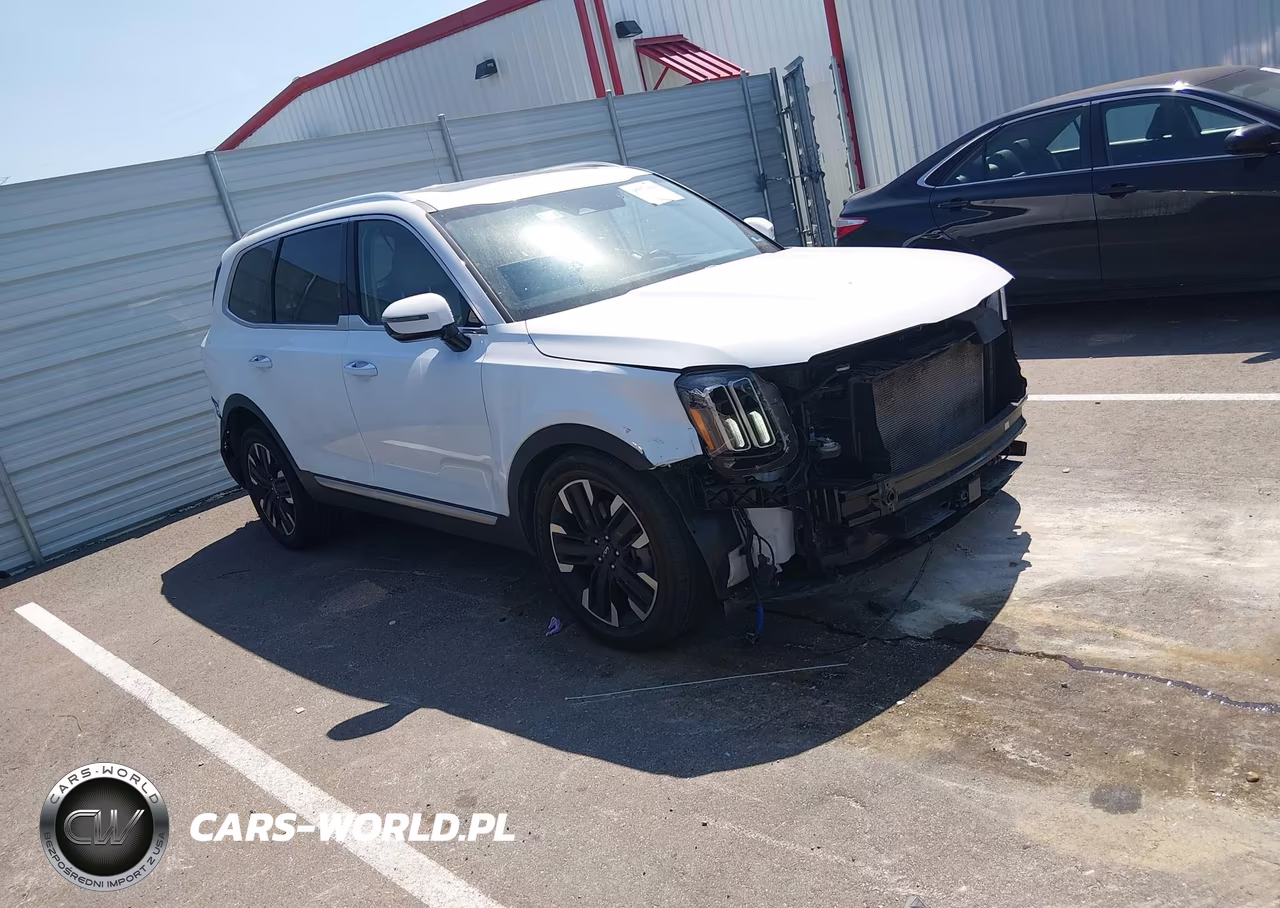 2023 Kia Telluride Sx VIN:5XYP5DGC4PG341834 - 1