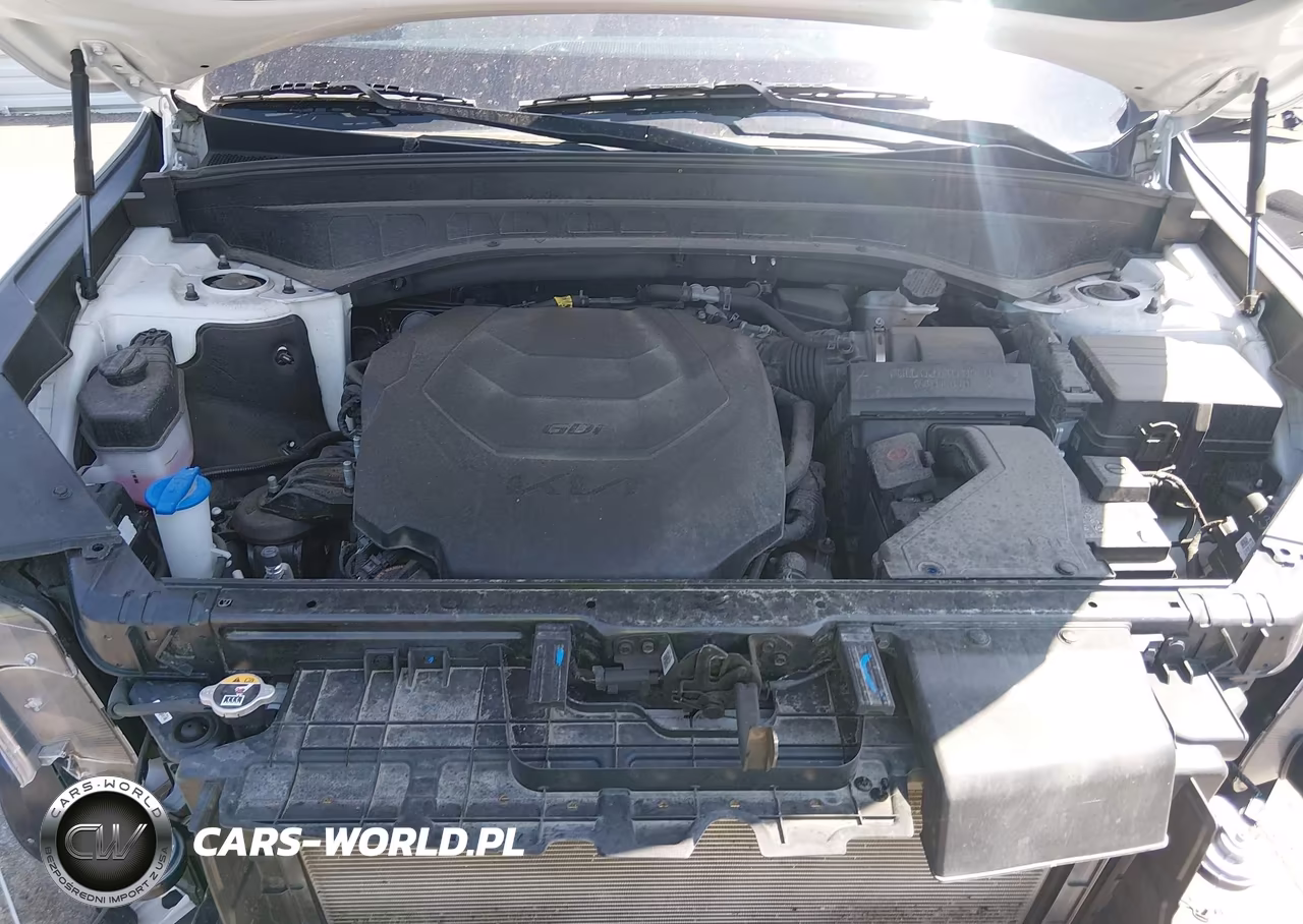 2023 Kia Telluride Sx VIN:5XYP5DGC4PG341834 - 10