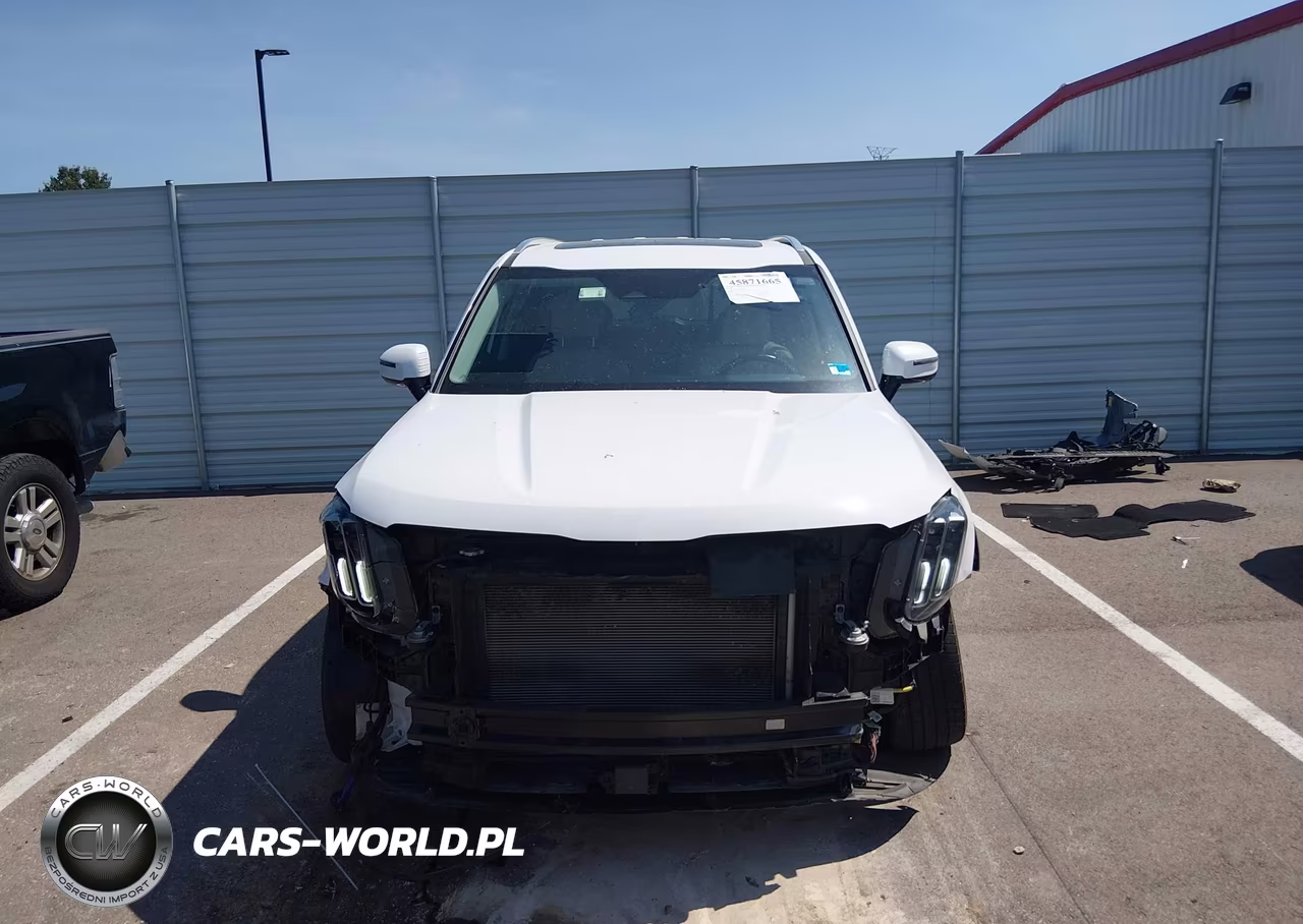 2023 Kia Telluride Sx VIN:5XYP5DGC4PG341834 - 13