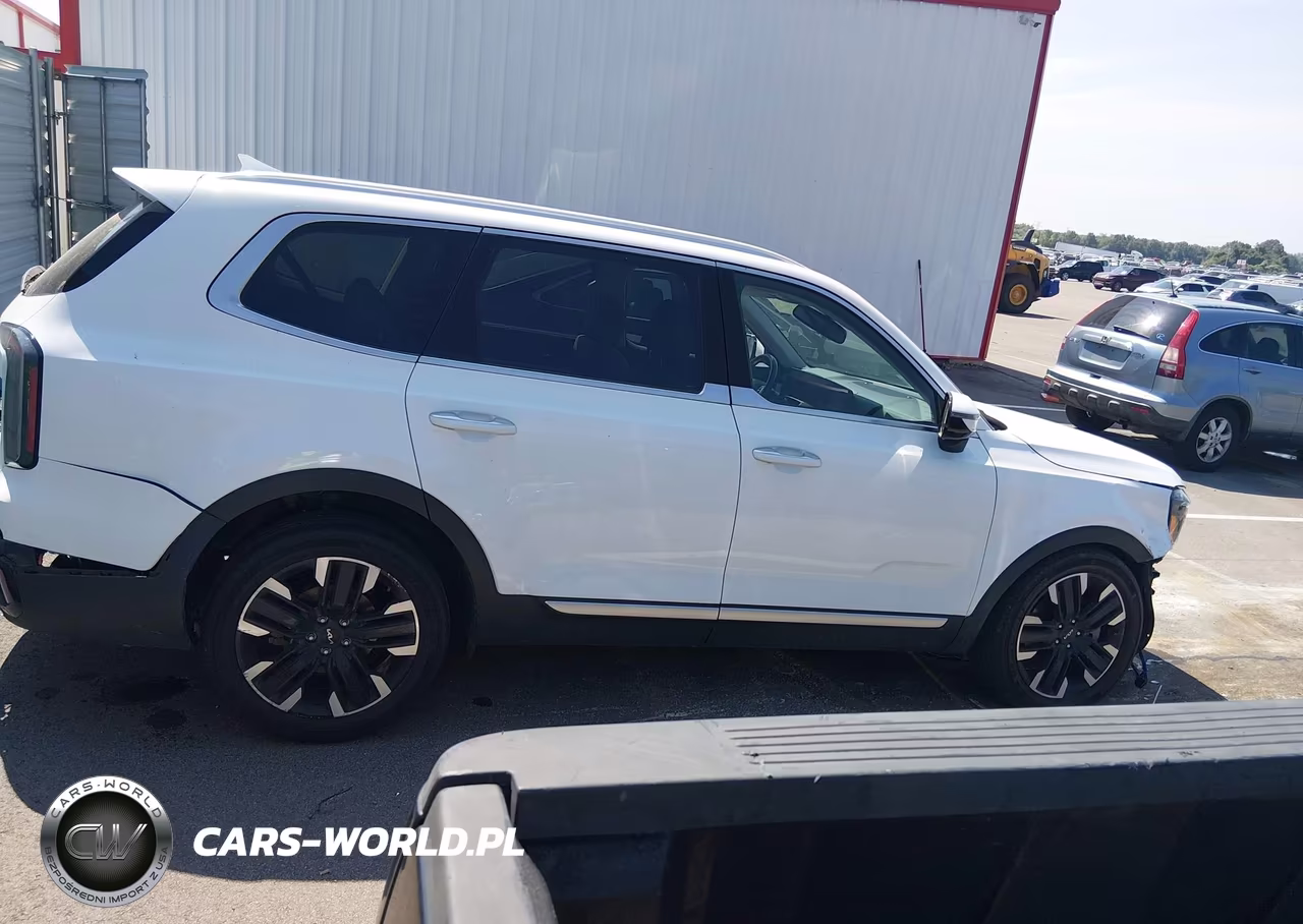 2023 Kia Telluride Sx VIN:5XYP5DGC4PG341834 - 14