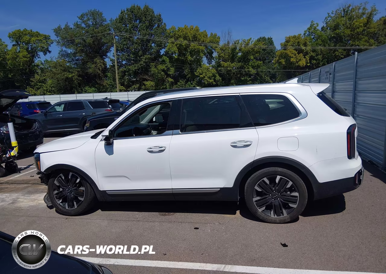 2023 Kia Telluride Sx VIN:5XYP5DGC4PG341834 - 15