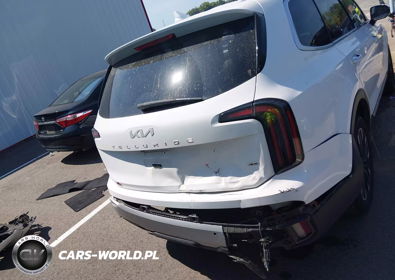 2023 Kia Telluride Sx VIN:5XYP5DGC4PG341834 - 17