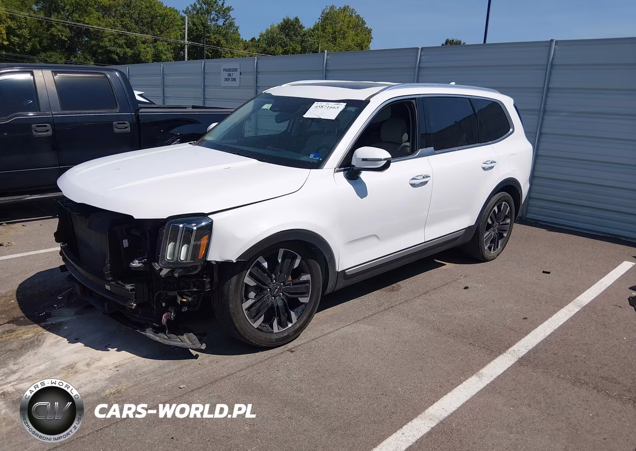 2023 Kia Telluride Sx VIN:5XYP5DGC4PG341834 - 2