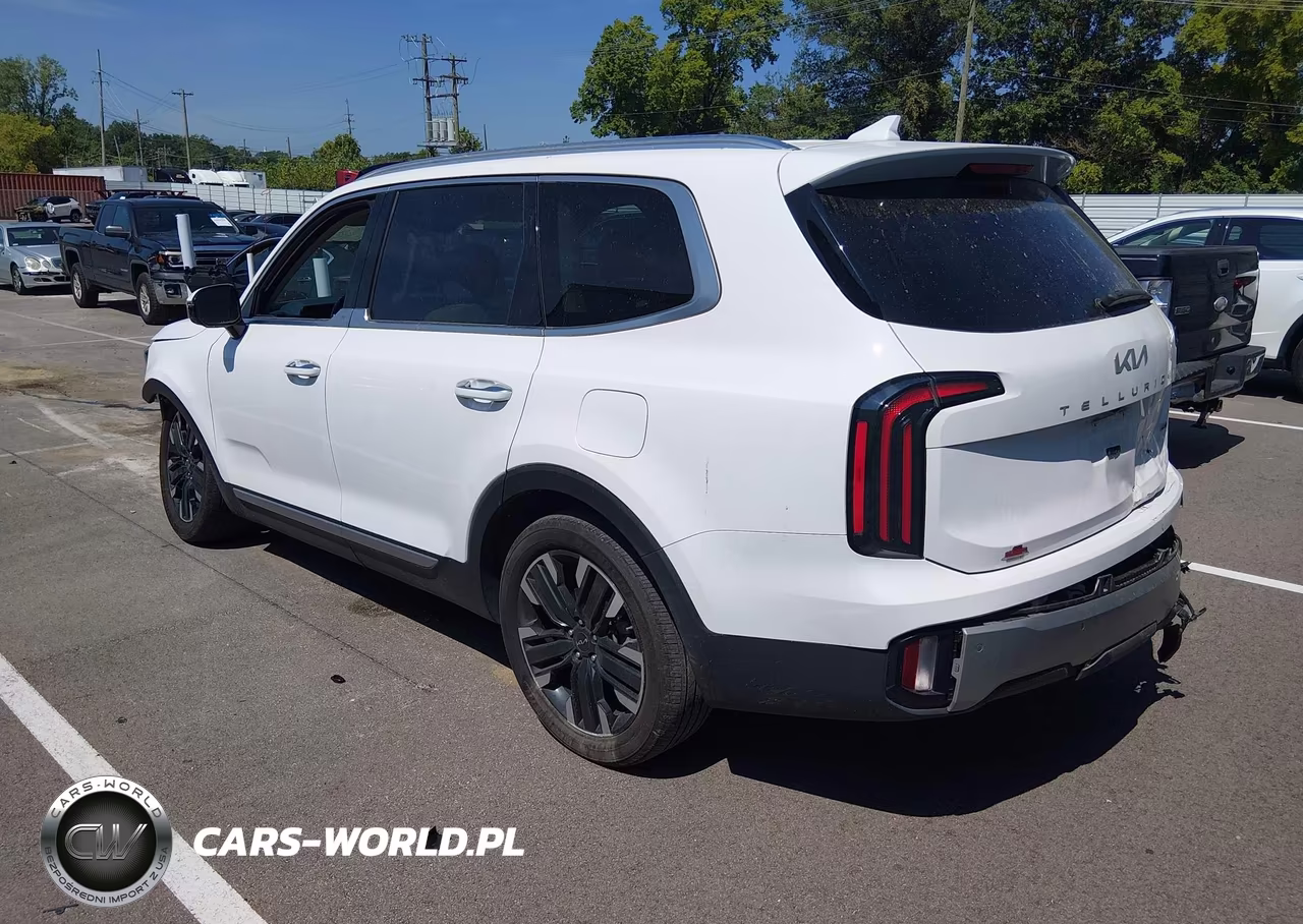 2023 Kia Telluride Sx VIN:5XYP5DGC4PG341834 - 3