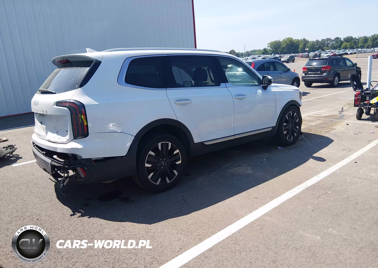 2023 Kia Telluride Sx VIN:5XYP5DGC4PG341834 - 4