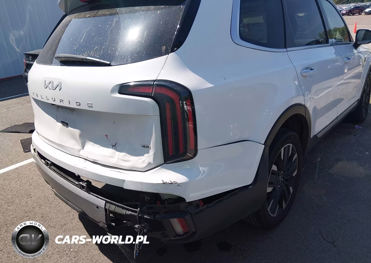 2023 Kia Telluride Sx VIN:5XYP5DGC4PG341834 - 6