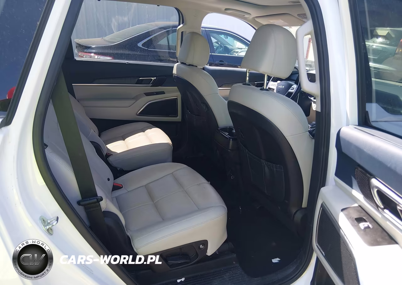 2023 Kia Telluride Sx VIN:5XYP5DGC4PG341834 - 8