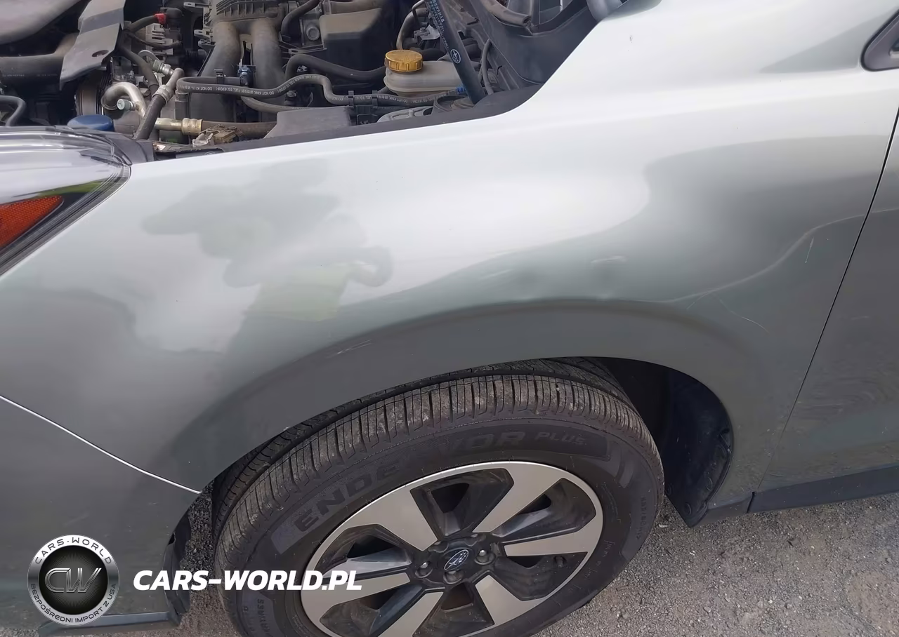 2017 Subaru Forester 2.5I Premium VIN:JF2SJAGC9HH464544 - 6