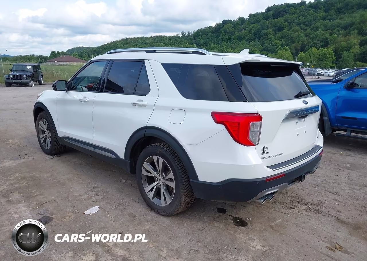 2020 Ford Explorer Platinum VIN:1FM5K8HCXLGA07137 - 3