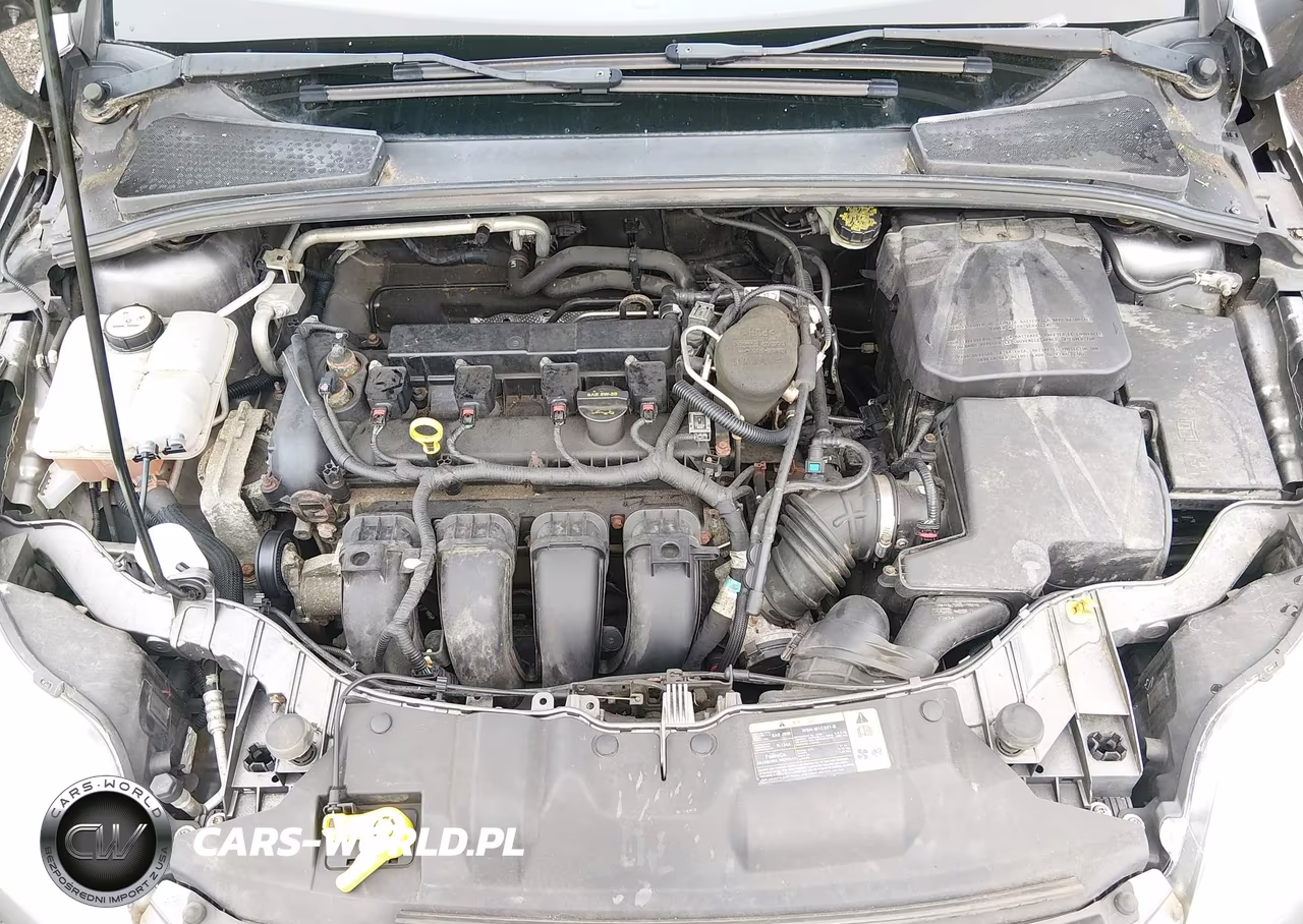 2013 Ford Focus Se VIN:1FADP3K25DL338808 - 10