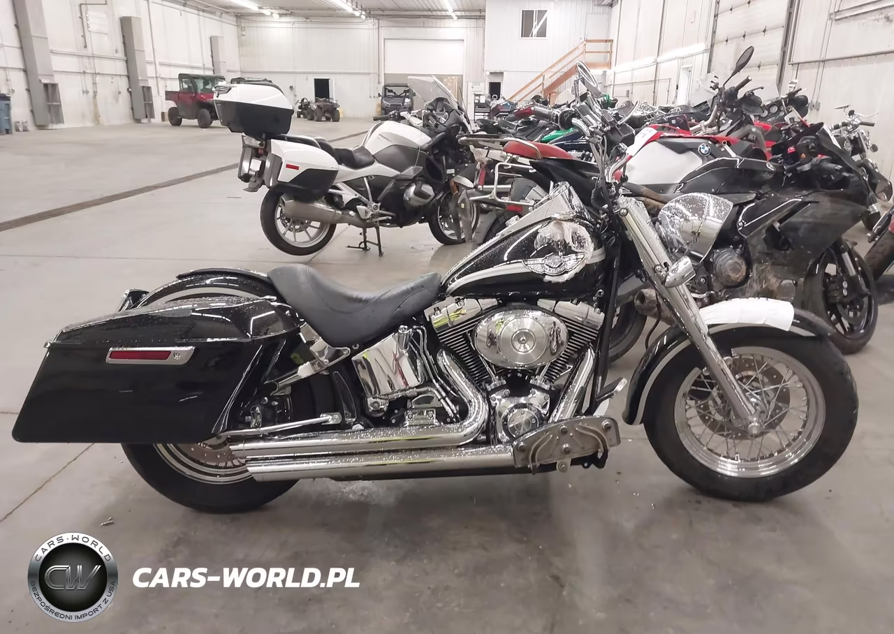 2003 Harley-Davidson Flstf VIN:1HD1BMY163Y114155 - 11