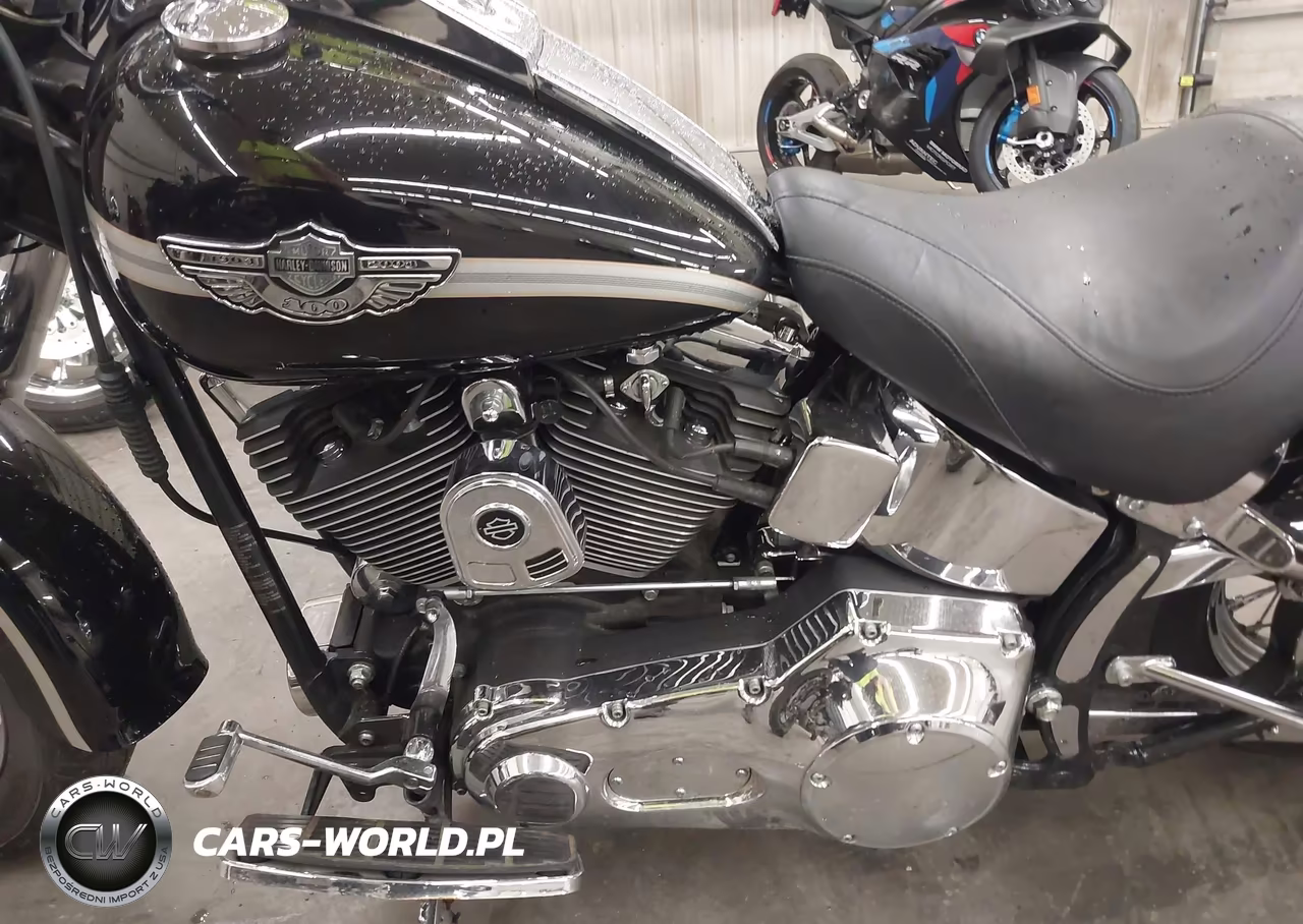 2003 Harley-Davidson Flstf VIN:1HD1BMY163Y114155 - 9