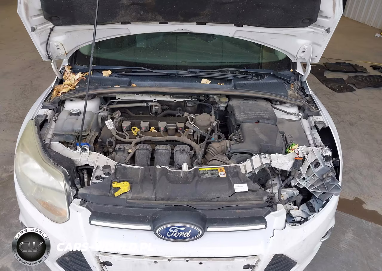 2013 Ford Focus Se VIN:1FADP3K20DL185268 - 10