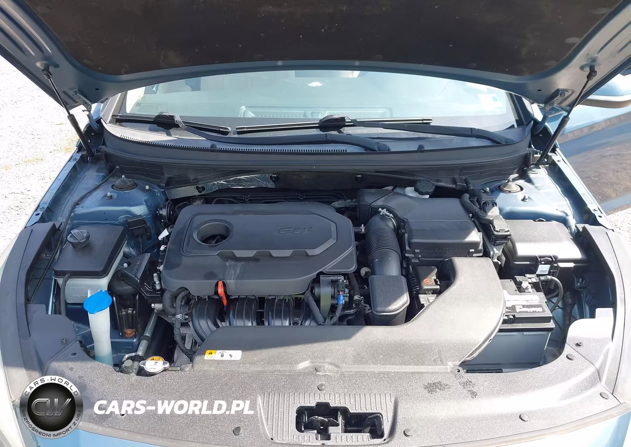 2017 Hyundai Sonata Sport VIN:5NPE34AF6HH519141 - 10