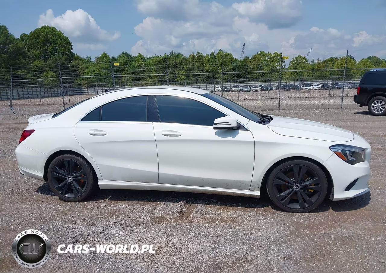 2019 Mercedes-Benz Cla 250 VIN:WDDSJ4EB5KN749525 - 13