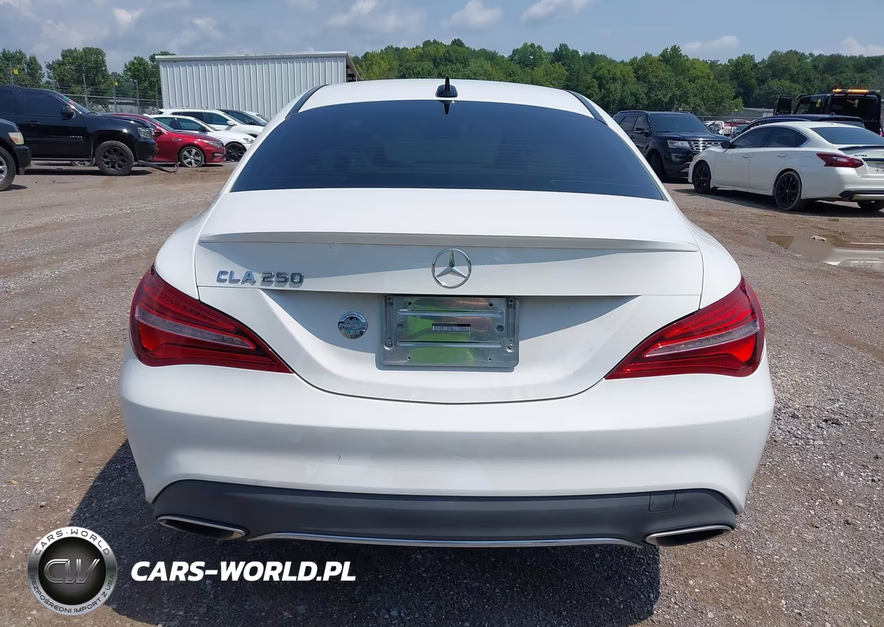 2019 Mercedes-Benz Cla 250 VIN:WDDSJ4EB5KN749525 - 16