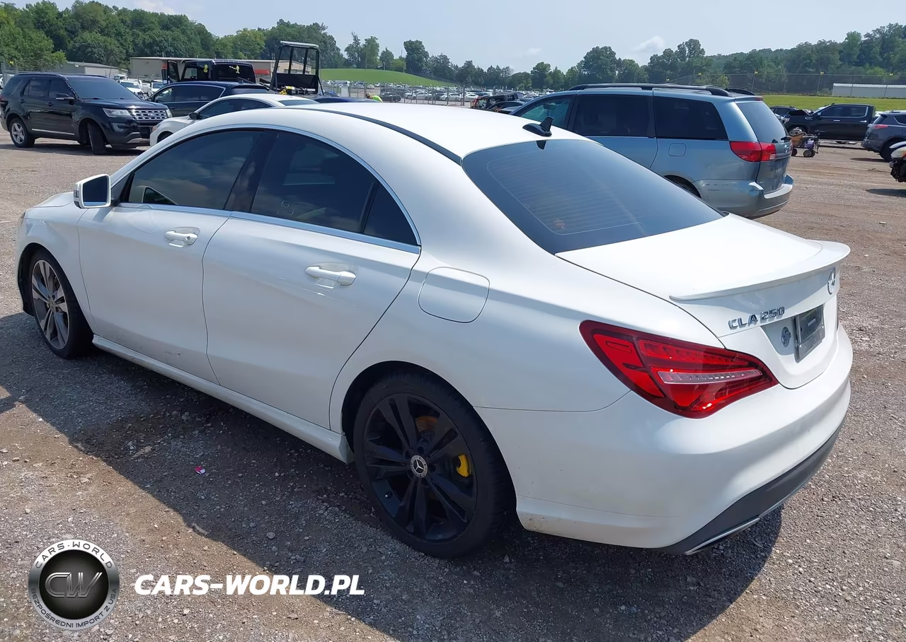 2019 Mercedes-Benz Cla 250 VIN:WDDSJ4EB5KN749525 - 3
