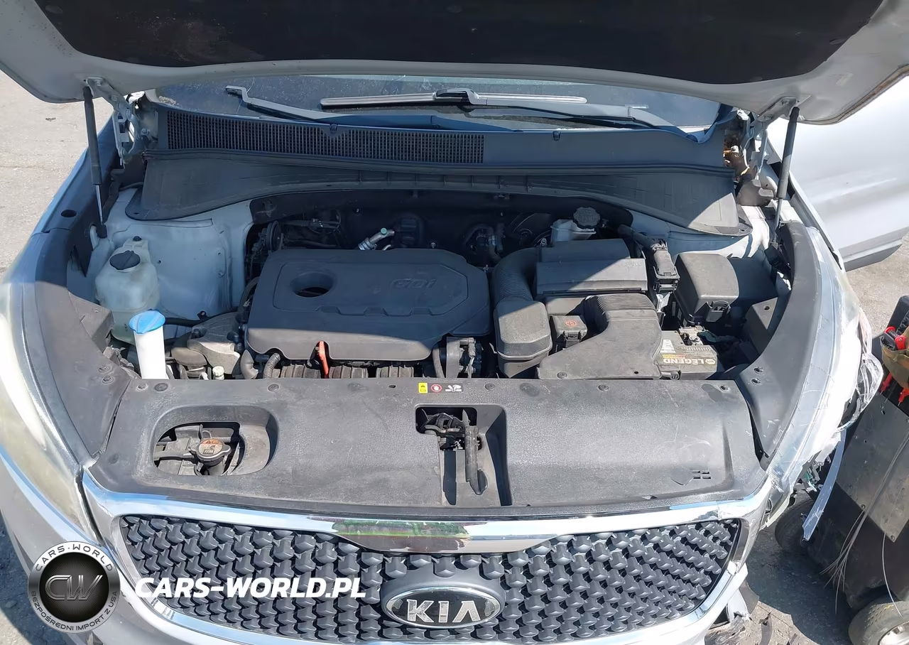 2016 Kia Sorento 2.4L Lx VIN:5XYPG4A31GG117553 - 10