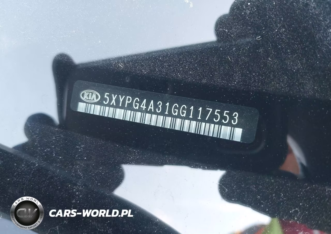 2016 Kia Sorento 2.4L Lx VIN:5XYPG4A31GG117553 - 17
