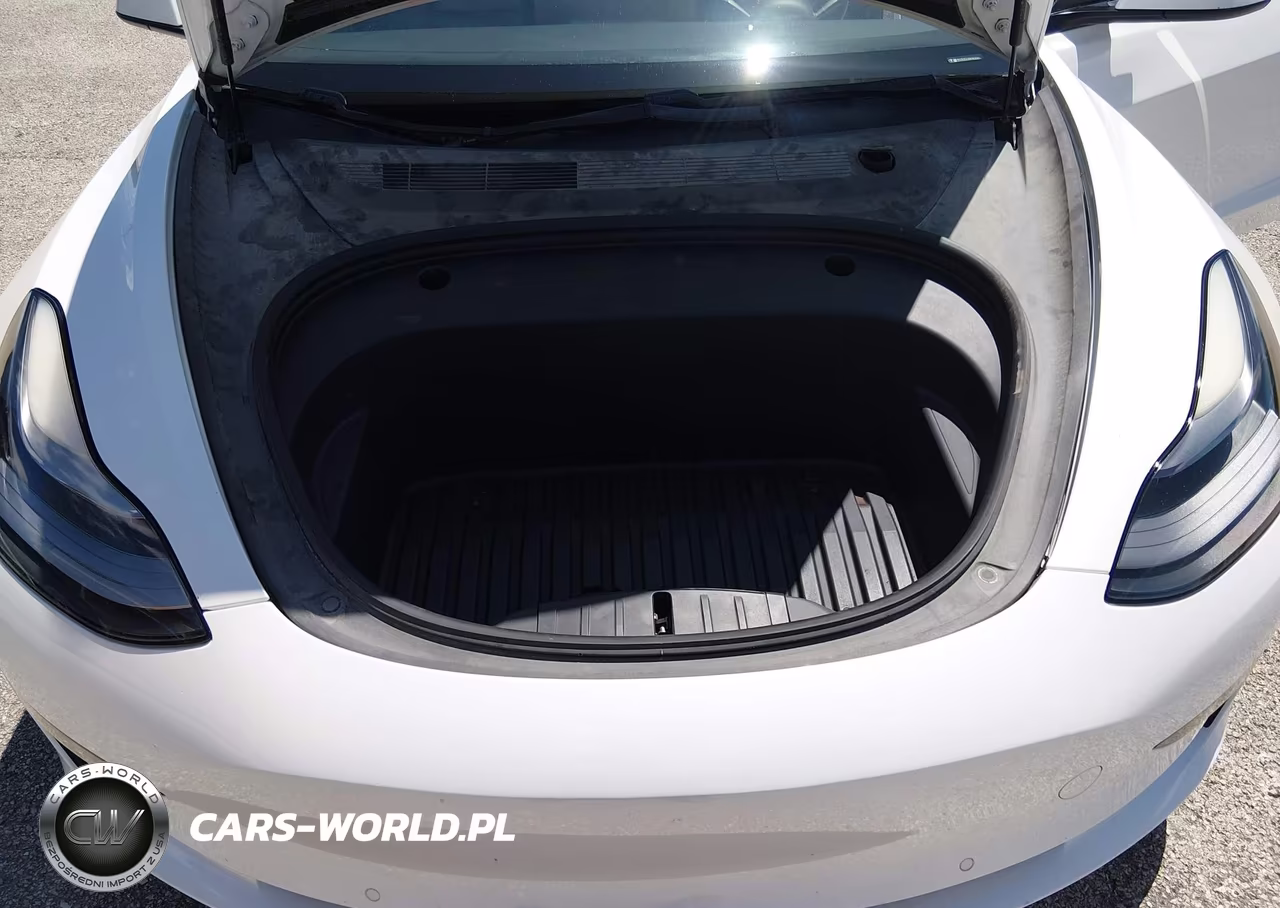 2021 Tesla Model 3 Standard Range Plus Rear-Wheel Drive VIN:5YJ3E1EA3MF962631 - 10
