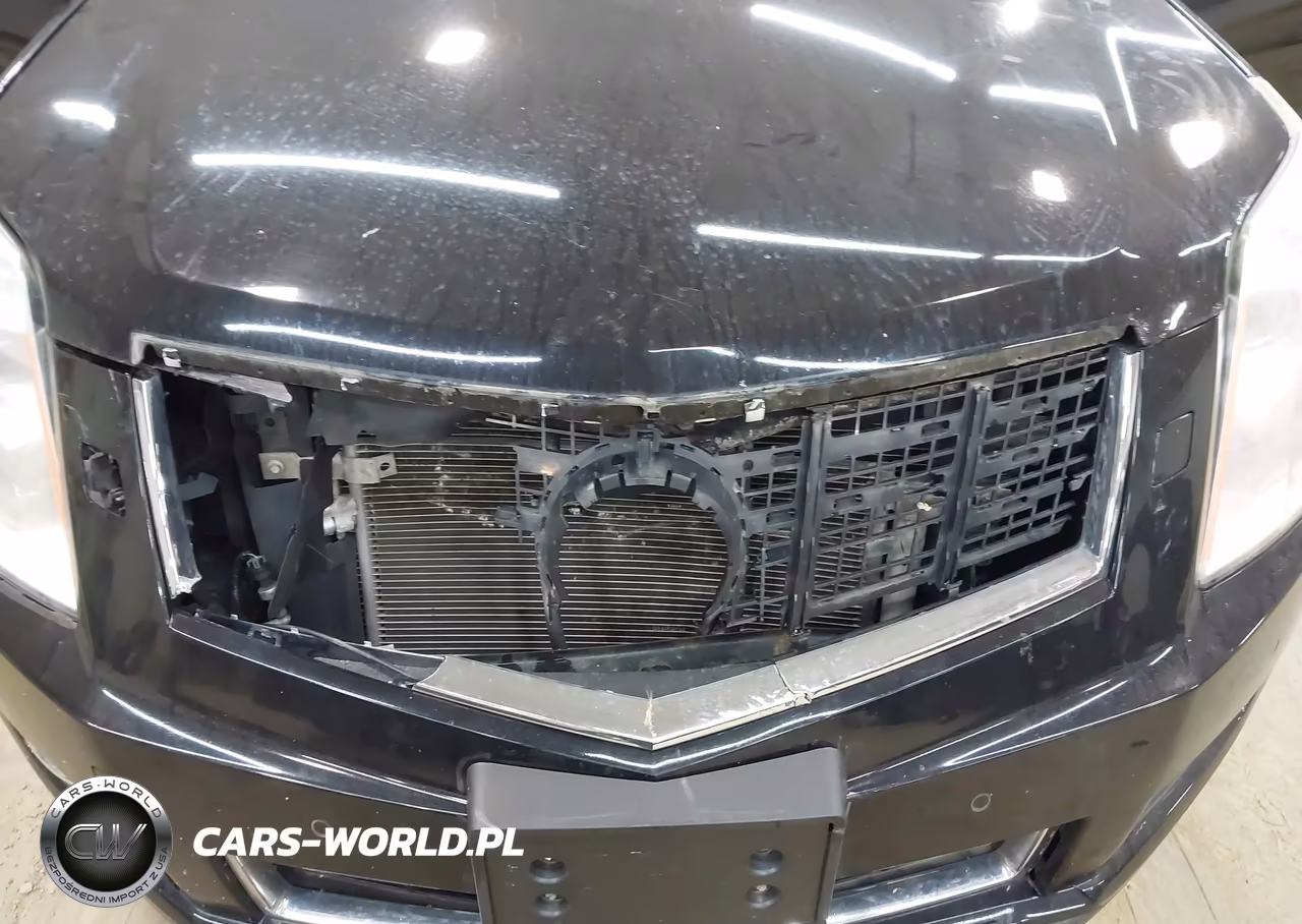 2013 Cadillac Srx Premium Collection VIN:3GYFNEE34DS605093 - 6