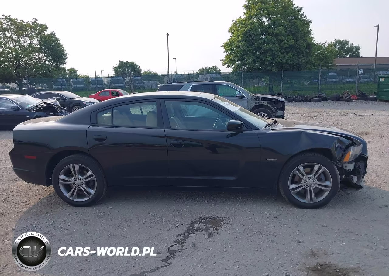 2013 Dodge Charger R-T Max VIN:2C3CDXDT0DH513124 - 12