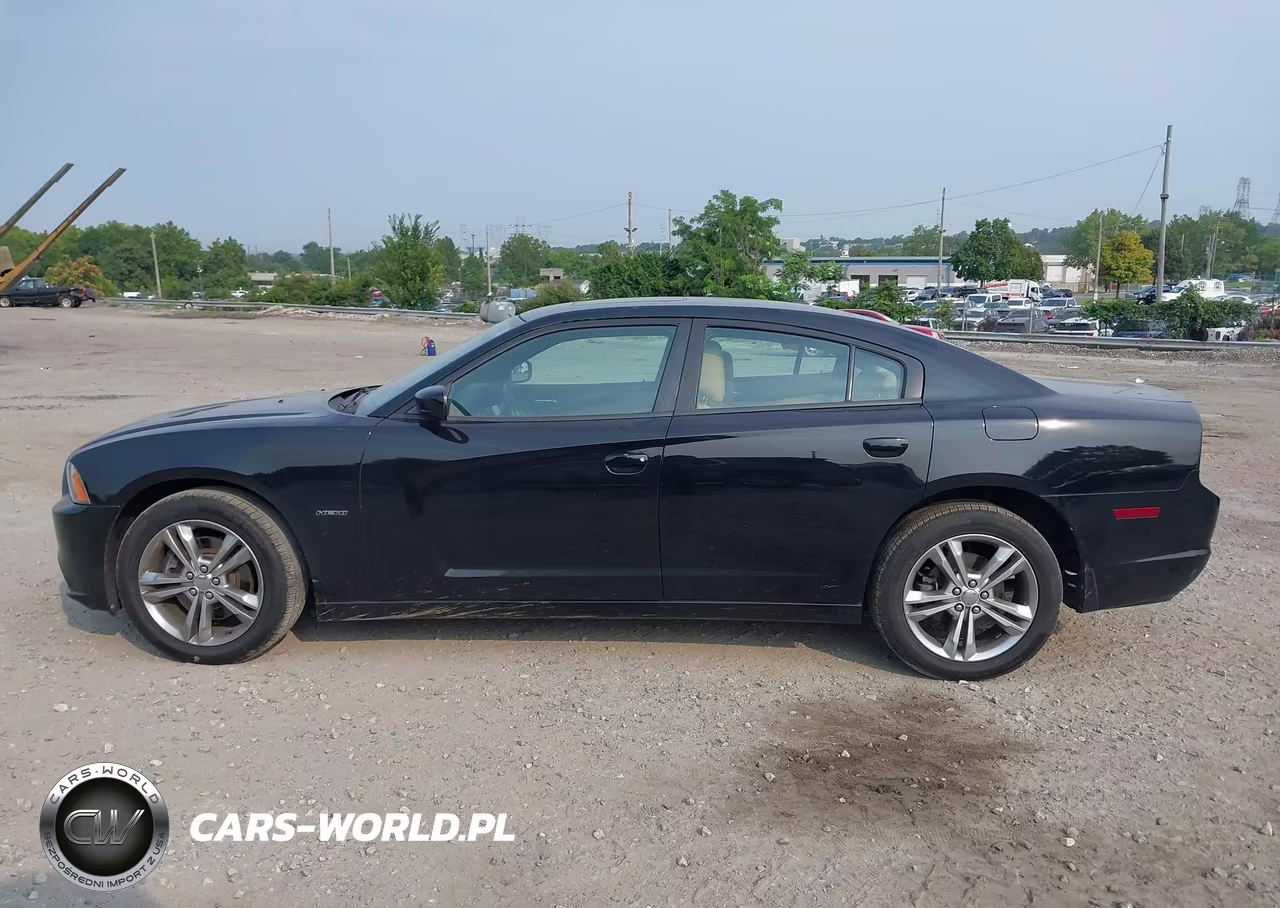 2013 Dodge Charger R-T Max VIN:2C3CDXDT0DH513124 - 13
