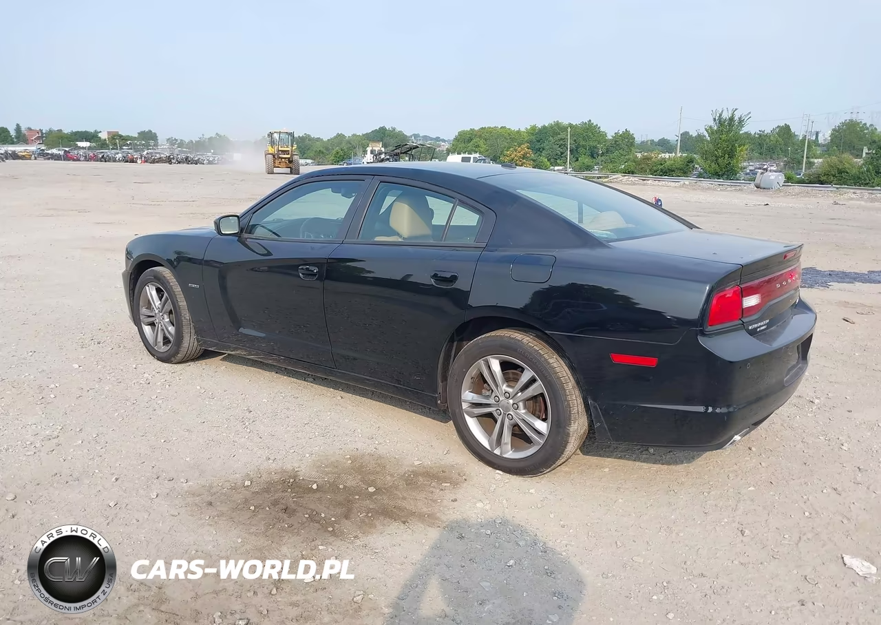 2013 Dodge Charger R-T Max VIN:2C3CDXDT0DH513124 - 3