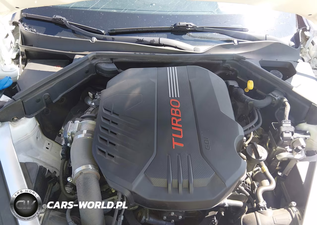 2022 Kia Stinger Gt2 VIN:KNAE55LC0N6107917 - 10