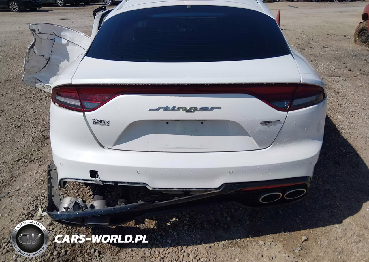 2022 Kia Stinger Gt2 VIN:KNAE55LC0N6107917 - 16