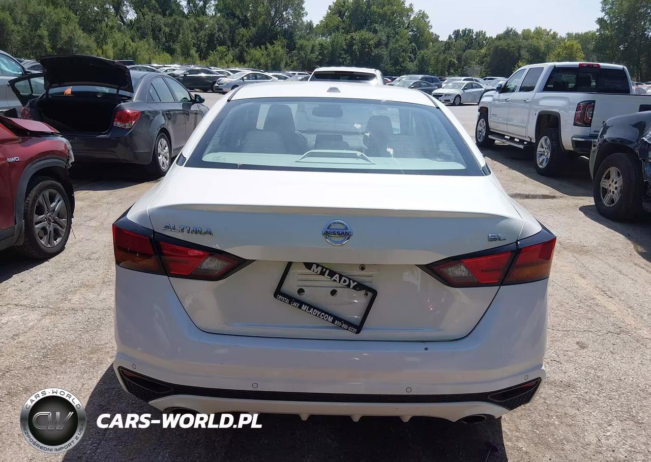 2019 Nissan Altima 2.5 Sl VIN:1N4BL4EV1KC183007 - 17
