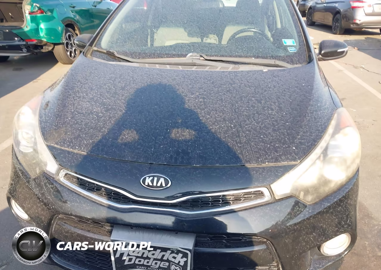 2014 Kia Forte Koup Ex VIN:KNAFX6A86E5249049 - 6