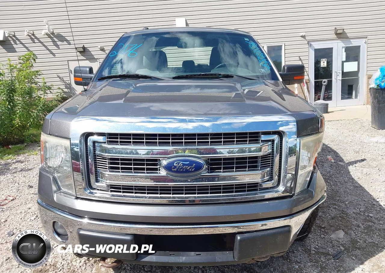 2014 Ford F-150 Xlt VIN:1FTEX1EM3EFA55632 - 12