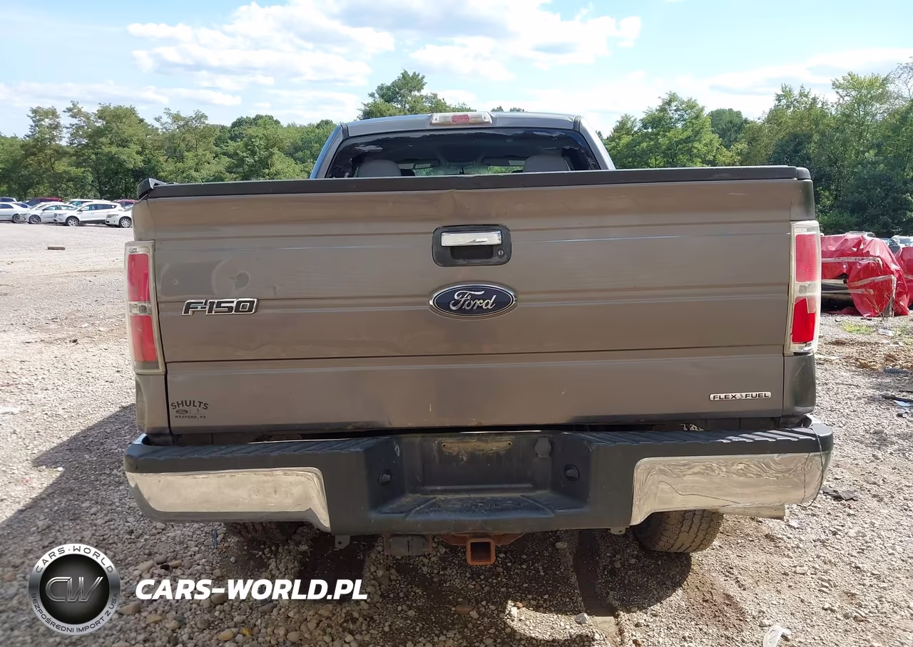 2014 Ford F-150 Xlt VIN:1FTEX1EM3EFA55632 - 16